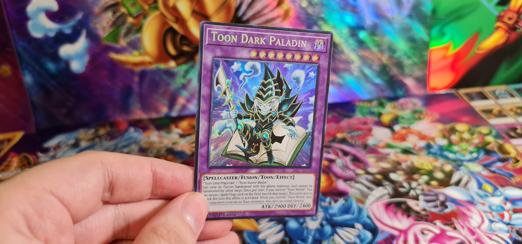 Toon Dark Paladin Custom Orica card